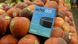 Whole Foods Sells Amazon Echo