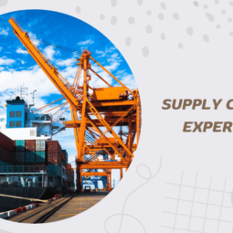 The Most In-Demand SAP Modules for Supply Chain Experts